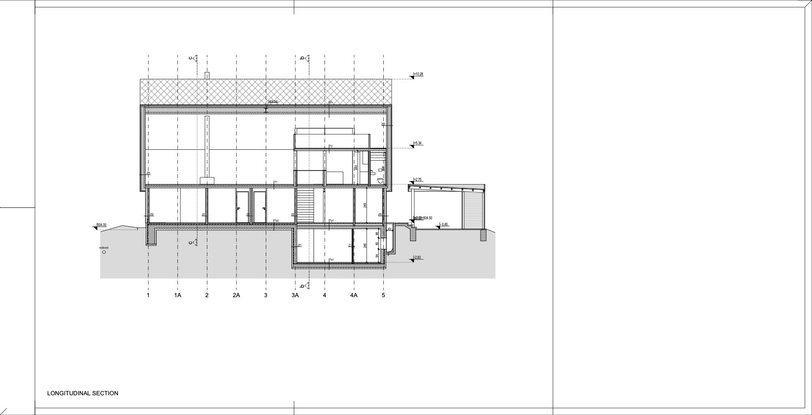 Longitudinal Section