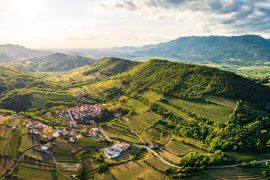 Vipava Valley – Exclusive Wine Estate Investment Opportunity