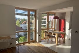 Ljubljana – Prule, near Špica   RENTAL